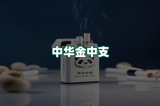 中华金中支